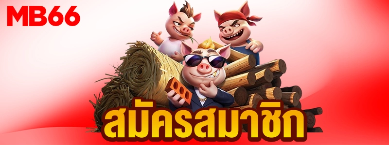 แบนเนอร์สมัคร